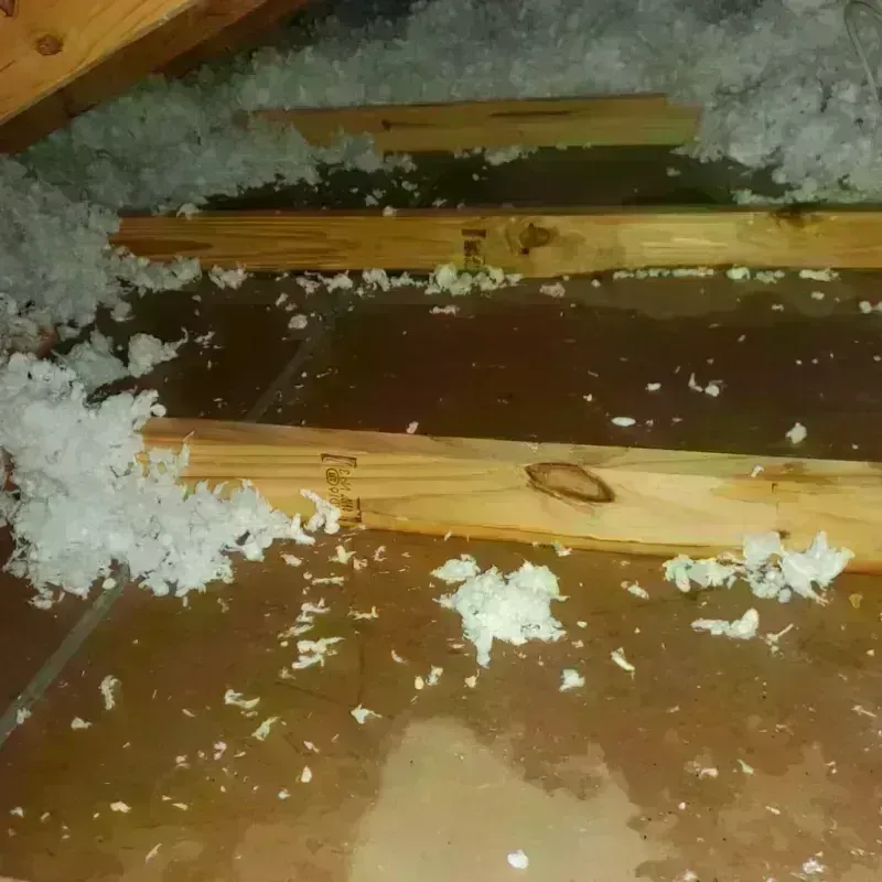 Attic Water Damage in New Market, VA